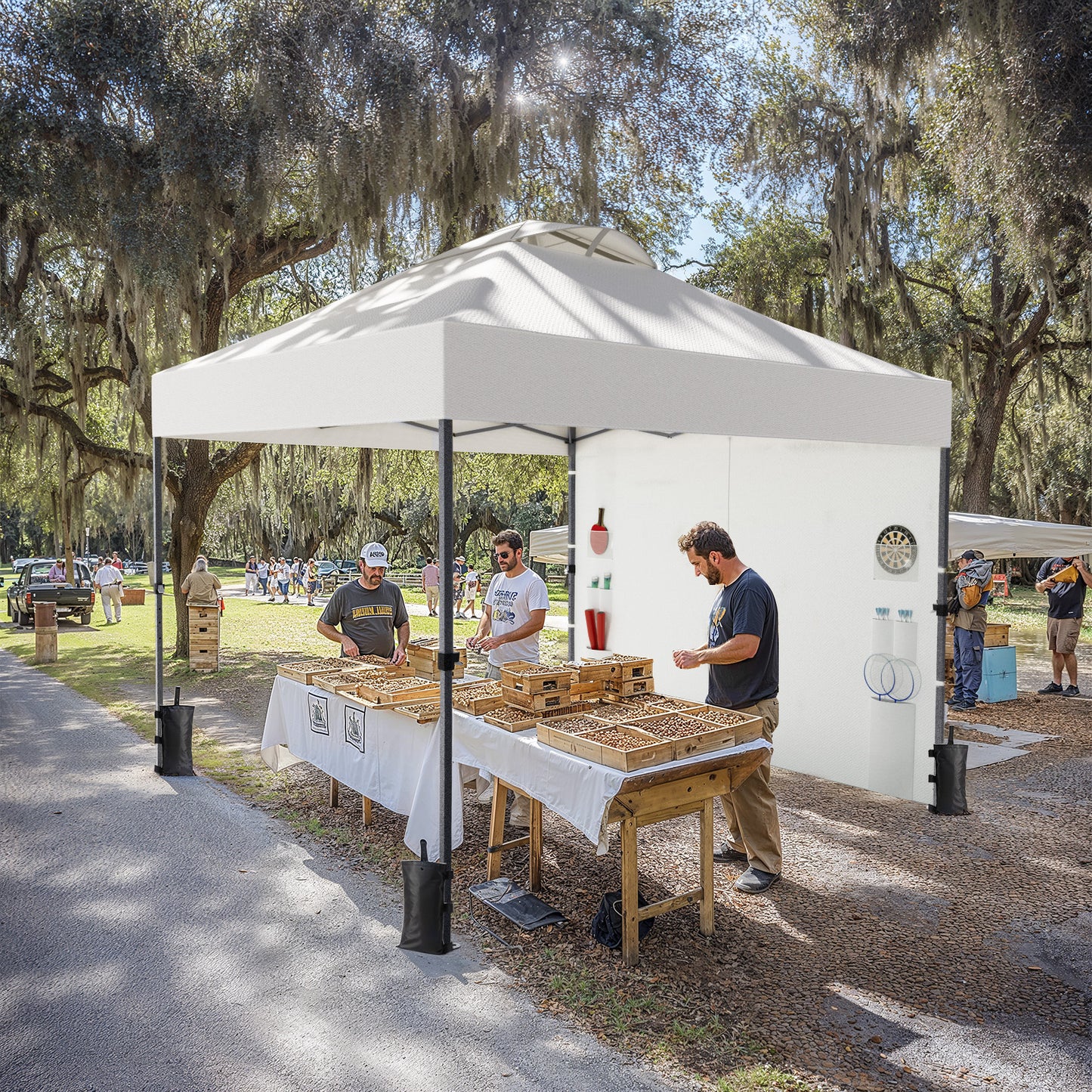 CHITOOMA 10 x 10ft Pop up Canopy Tent, Instant Outdoor Shelter Easy Portable Straight Leg Canopy Tent with Pockets Sidewall, White