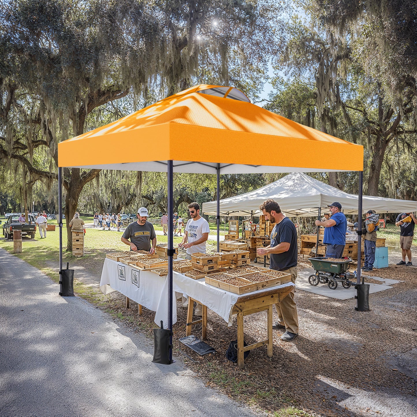 CHITOOMA 10 x 10ft Pop up Canopy Tent, Instant Outdoor Shelter Easy Portable Straight Leg Canopy Tent, Orange