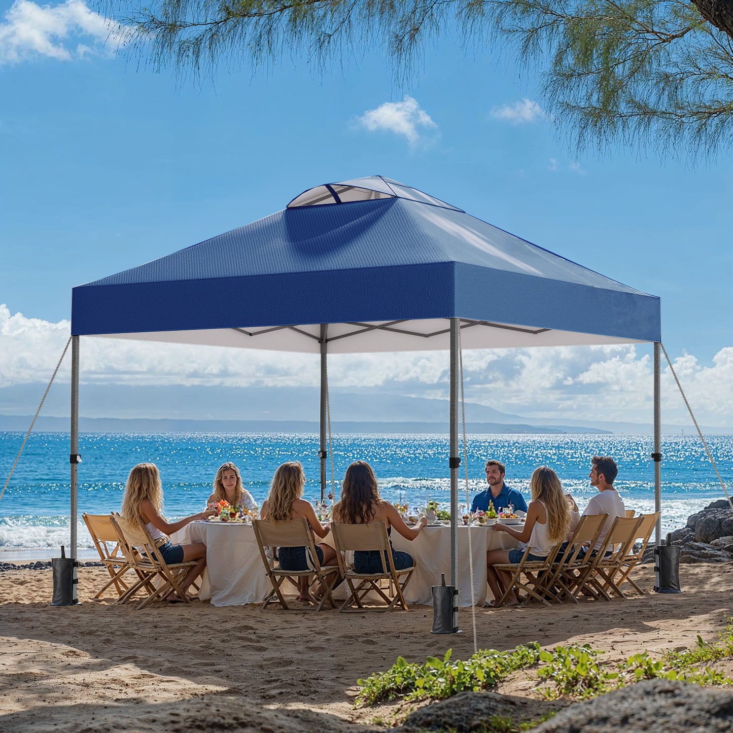 CHITOOMA 10 x 10ft Pop up Canopy Tent, Instant Outdoor Shelter Easy Portable Straight Leg Canopy Tent, Navy Blue