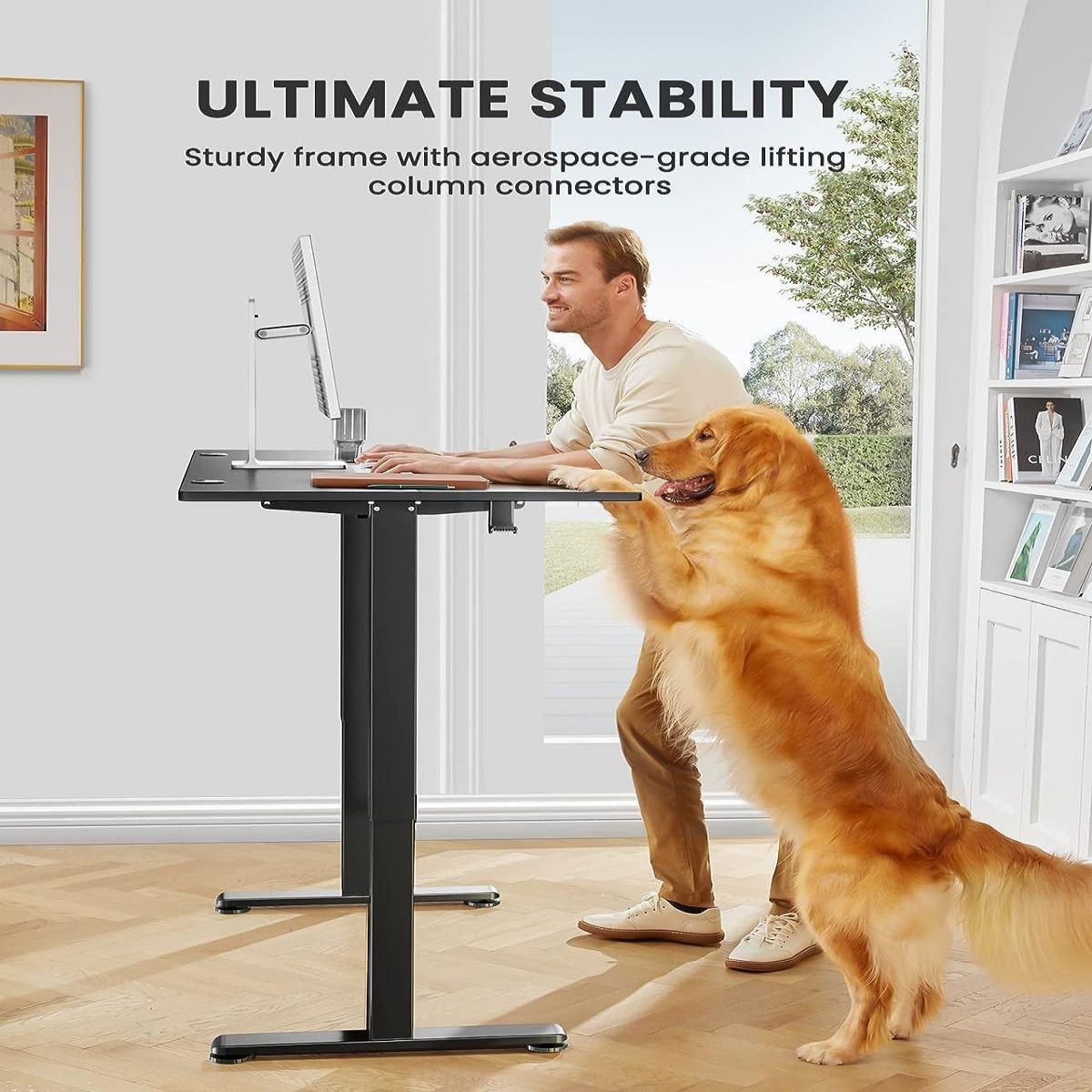 63 x 28 Inches Height Adjustable Electric Standing Desk, Sit Stand up Desk with 4 Memory Pre-setting, Brown
