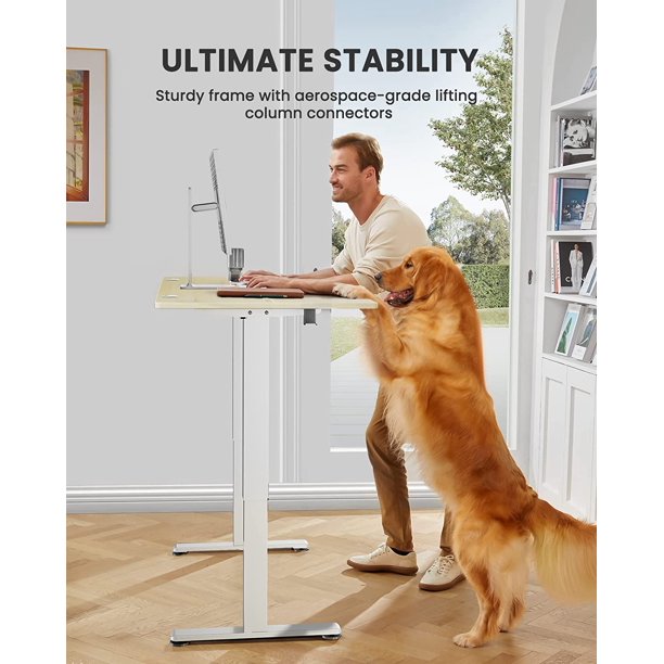 Electric Standing Desk 48" x 24" Height Adjustable Sit Stand up Desk for Home Office, Natural - Walmart.com