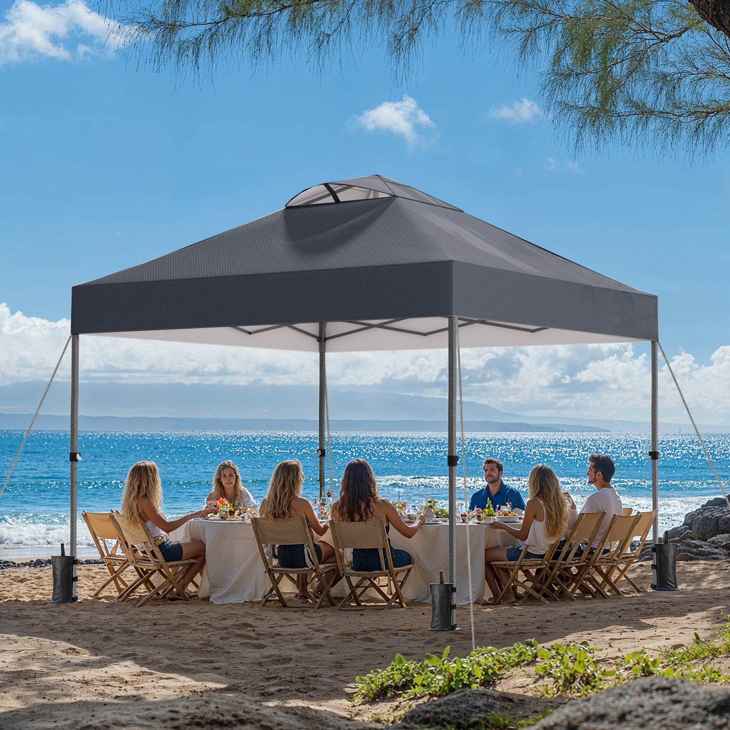 CHITOOMA 10 x 10ft Pop up Canopy Tent, Instant Outdoor Shelter Easy Portable Straight Leg Canopy Tent, Dark Gray