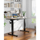 Kyspho Large Electric Standing Desk, 55 x 24 inch Height Adjustable Stand up Desk with Memory Preset, Sit Stand Home Office Desk, Black