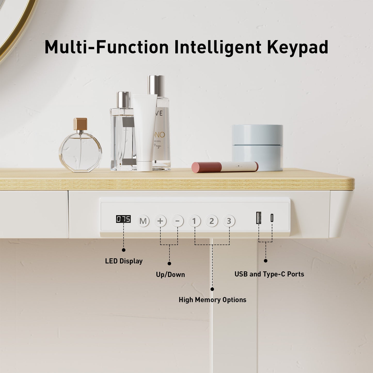 Kyspho 48'' x 24'' Electric Standing Desk with Drawer, Solid Maple Wood-top Height Adjustable Desk with USB Charging Ports, Sit Stand Desk with Storage for Home & Office