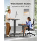 Kyspho Electric Standing Desk, 40 x 24 inch Height Adjustable Stand up Desk with Memory Preset, Sit Stand Home Office Desk, Black