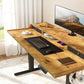 Electric Standing Desk with Drawers, 48″ x 24″ Gaming Desk with Monitor Stand,Brown