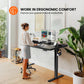 Kyspho 48'' x 30'' Electric Standing Desk, Adjustable Height Sit to Stand Desk with 4 Height Memory & 1.2'' Thick Desk Top, Ergonomic Desk for Home Office, Black