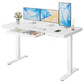 CHITOOMA 55" x 28" One Piece Glass Top Standing Desk with Drawer, Electric Height Adjustable Office Desk with USB Charging Ports, Sit to Stand Desk for Home
