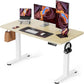 Height Adjustable Electric Standing Desk, 48 x 24 Inches Sit Stand up Desk,Natural