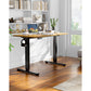 Kyspho Large Electric Standing Desk, 55 x 24 inch Height Adjustable Stand up Desk with Memory Preset, Sit Stand Home Office Desk, Rustic Brown