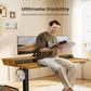 Electric Standing Desk with Drawers, 48″ x 24″ Gaming Desk with Monitor Stand,Brown