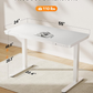 One Piece Glass Top Standing Desk with Drawer and Charging Ports, 55" x 24" Electric Height Adjustable Desk, Sit Stand up for Home Office, White