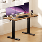 Kyspho Electric Standing Desk, 48 x 24 inch Height Adjustable Stand up Desk with Memory Preset, Sit Stand Home Office Desk, Rustic Brown