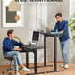 63" x 28" Large Electric Standing Desk with Keyboard Tray and 4 Memory Pre-set, Adjustable Height Sit Stand Up Computer Desk, Black